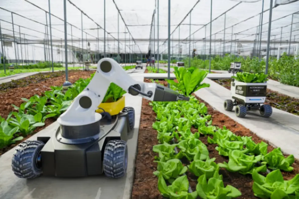 home-Agriculture and Food Products home-Agriculture and Food Products